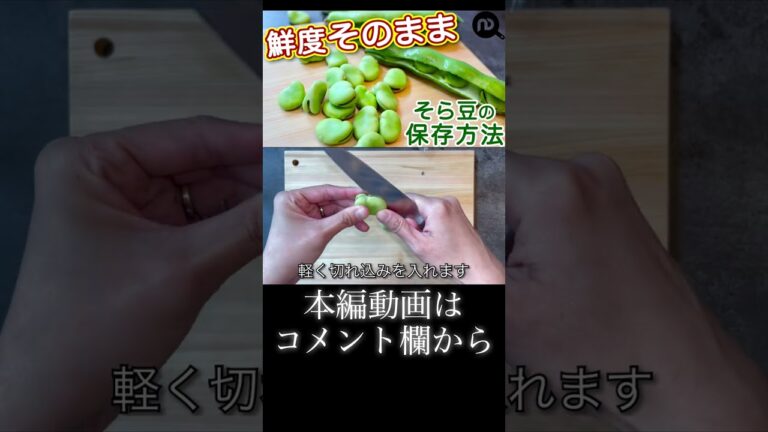 そら豆の保存方法 N.D.Kitchen