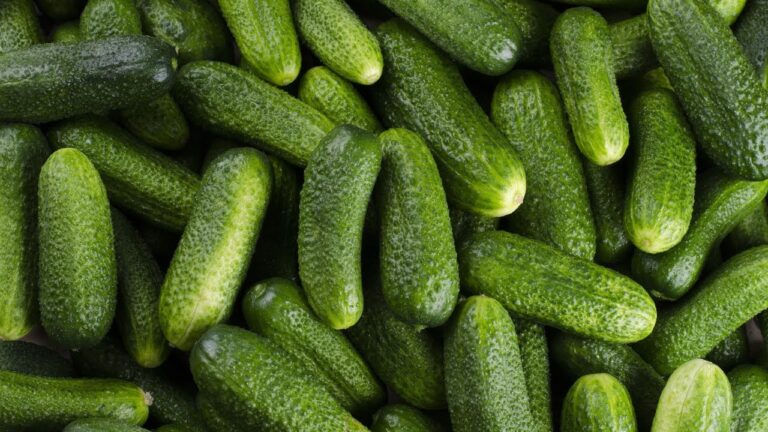 このキュウリのサラダを毎日の朝食に作ってください。腸と皮膚を健康に保ちます。