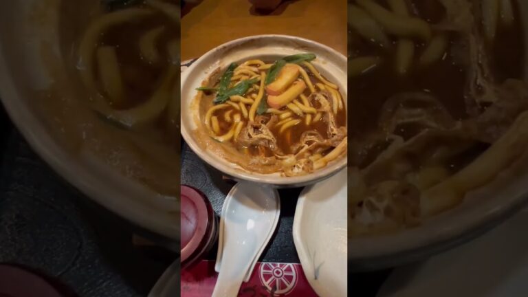 八丁味噌煮込みうどん【ゆかりん】#shorts