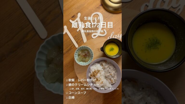 離乳食172日目【鯖のクリームシチュー】#baby #bambino #babygirl #育児 #赤ちゃん #ワンオペ育児 #ワンオペ #離乳食後期 #生後11ヶ月