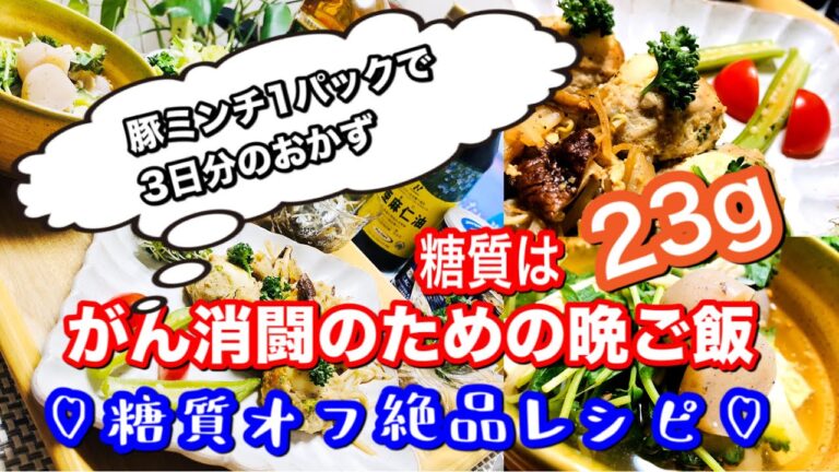 【絶品糖質オフ免疫力アップレシピ】1パックの豚ミンチで3品作る♡こんなに食べても糖質25‼︎美味しく食べる♯18【晩ご飯ルーティン】