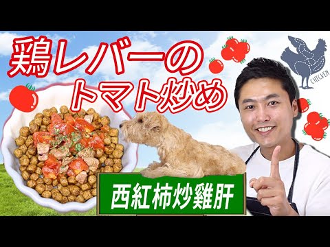 【皮膚トラブル改善】手作り犬ご飯(狗狗的鮮食食譜)『鶏レバーのトマト炒め』
