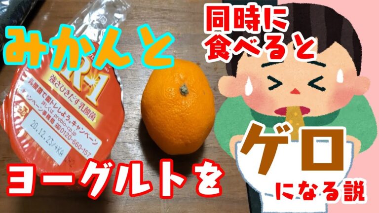 【検証】みかんとヨーグルトを同時に食べるとゲロの味がする説を検証！！【料理】