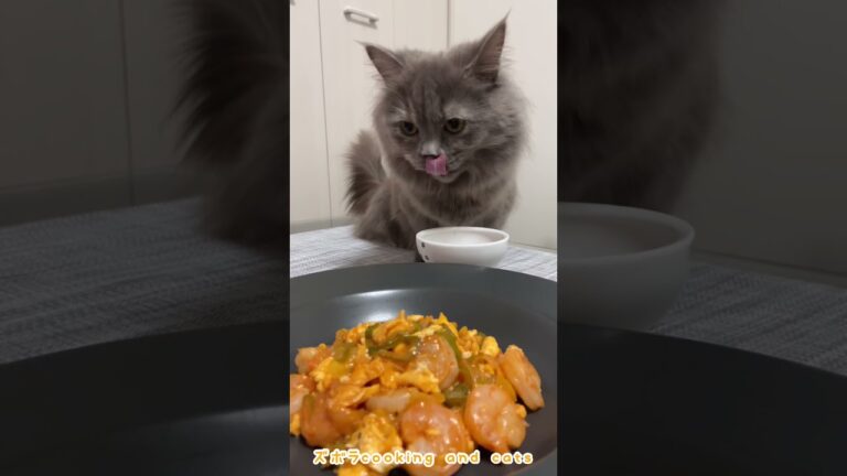 ふんわり卵のエビチリソース炒めwith cats