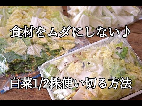 【白菜消費・保存版】白菜1/2株を使い切る方法