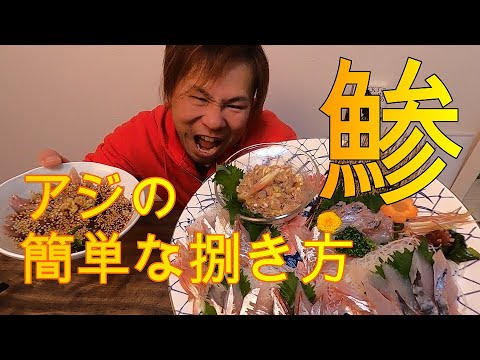 【アジの捌き方】白子の魚魚鈴に買出しに行って鯵を捌いてみた【とんキッチン】