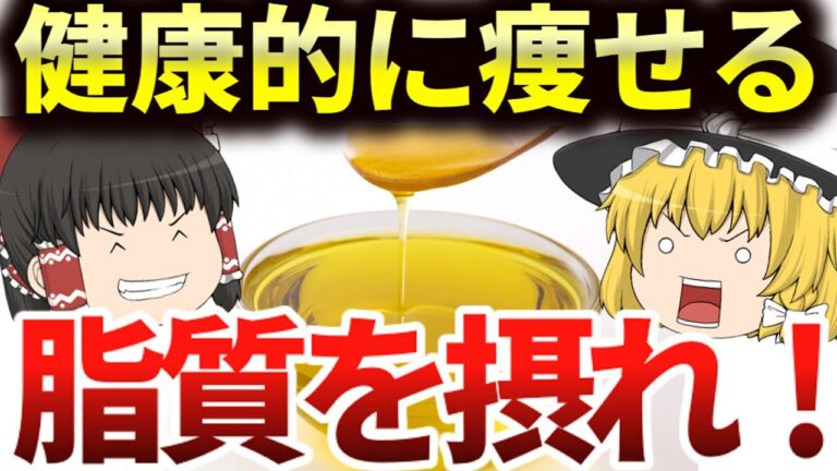 健康的に痩せるには、脂質が大切！良質な脂質、ダイエットをサポートしてくれる脂質について徹底解説【ゆっくり解説】