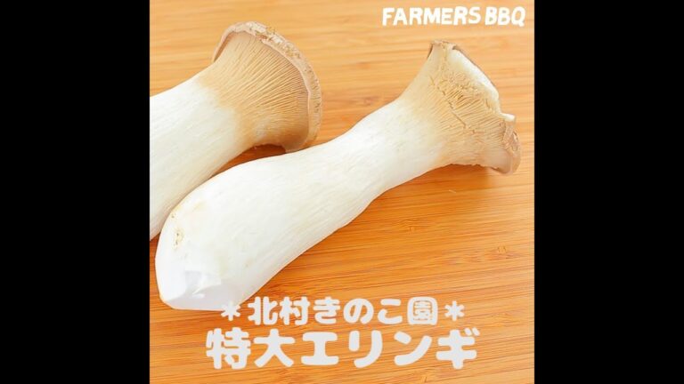 うまみのカタマリ！北村きのこ園のエリンギ
