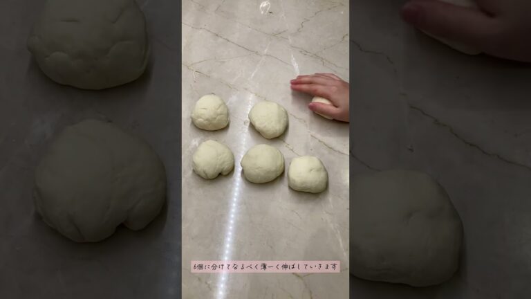 自家製トルティーヤ