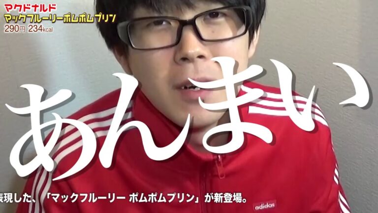 【マクドナルド】ポムポムプリンのマックフルーリーとベーコンポテトパイを食べてみた！
