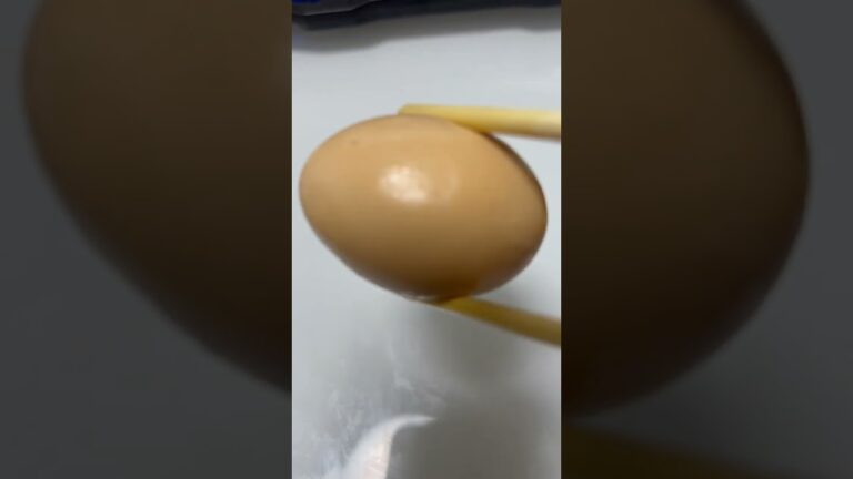 2022年10月10日おでん🍢２日目#たまご#shorts