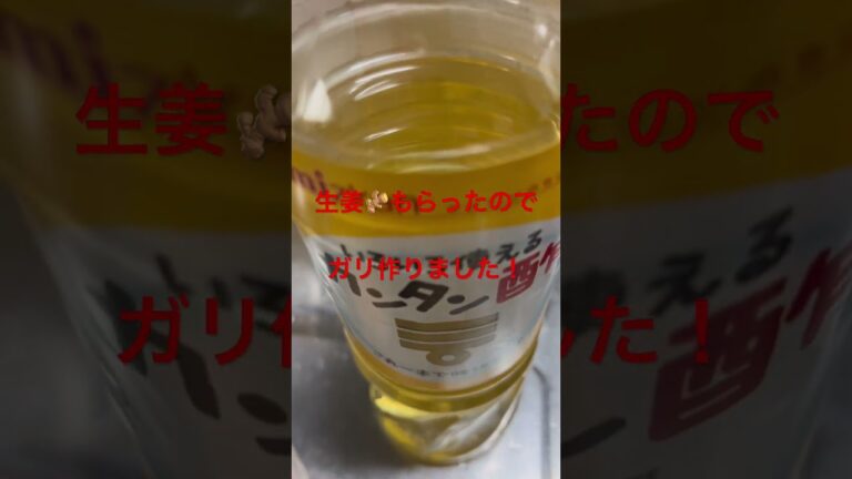 生姜🫚もらったのでミツカン簡単酢使ってガリ作りました！　歌　アムロ