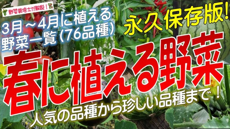 春に植える野菜（76品種）永久保存版