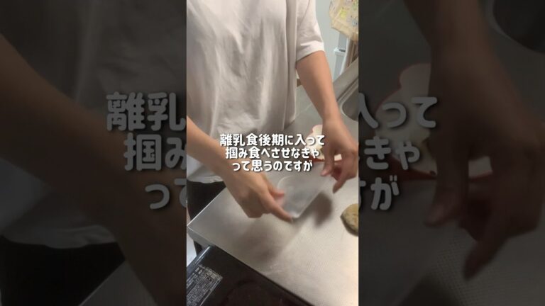 【生後9ヶ月】離乳食の献立【カミカミ期】#離乳食 #離乳食後期