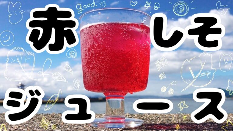 【赤しそジュース】管理栄養士が材料３つで作る赤しそジュース【クッキングラボ】