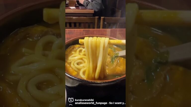 京都カレーうどんの代表！「　日の出うどん」京都 南禅寺