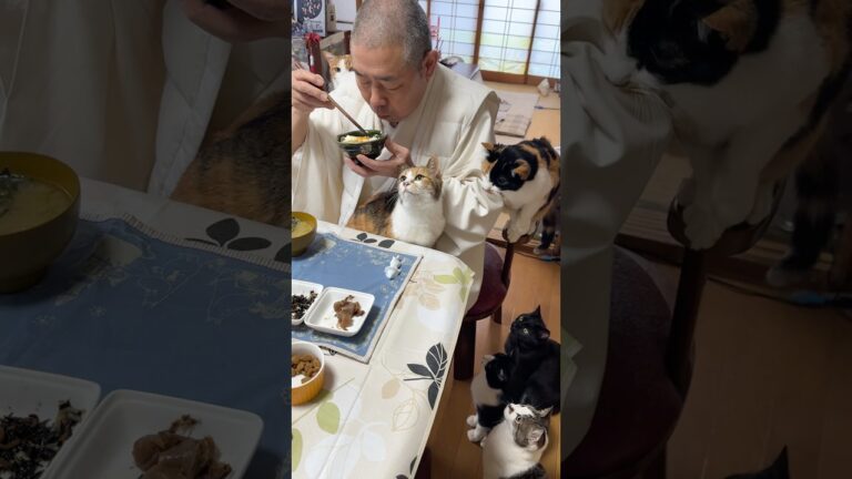 住職の朝ごはん。温泉卵 もずく ひじきの煮物 こんにゃくの煮物 ごはんと味噌汁 トマト