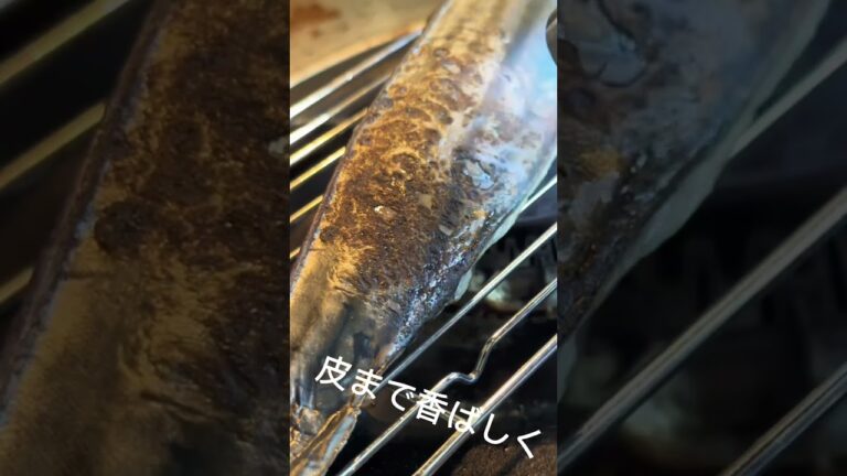これは食べるのはやめておけ。#さかな #魚#カツオのたたき