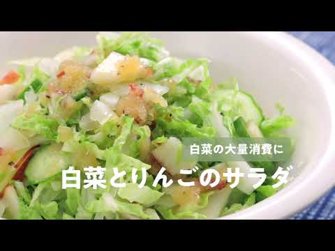 食品ロス削減レシピ「白菜とりんごのサラダ」