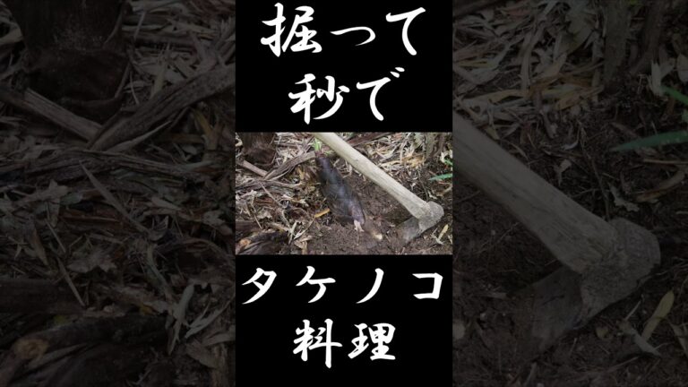 【タケノコ堀り】掘りたてタケノコバター醤油ステーキ#japanesefood #タケノコ #バター醤油 #ステーキ ＃田舎暮らし