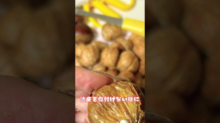 今が旬の栗!!渋皮煮を作ってみた！#くり#渋皮煮