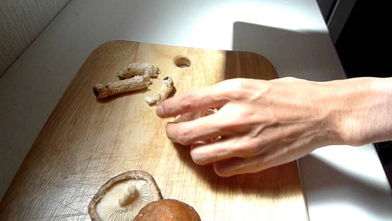 MacBookAirでしいたけを調理する。【A mushroom is cut with MacBookAir. 】
