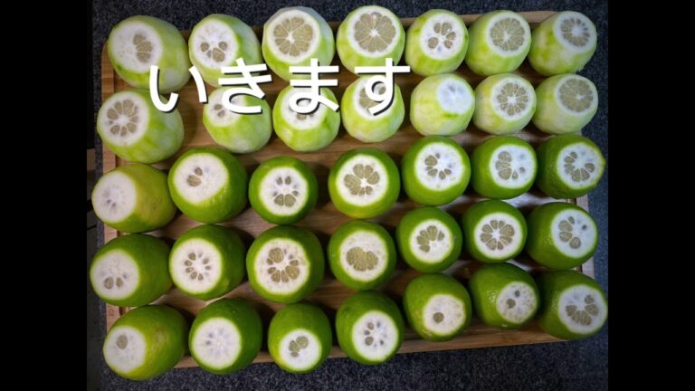 グリーンレモン活用法🍋