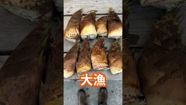 【今が旬】たけのこご飯ができるまで