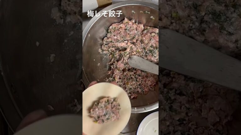 #手作り餃子　で、乾杯🍻ノーマル#餃子　#キムチ餃子　#梅しそ餃子