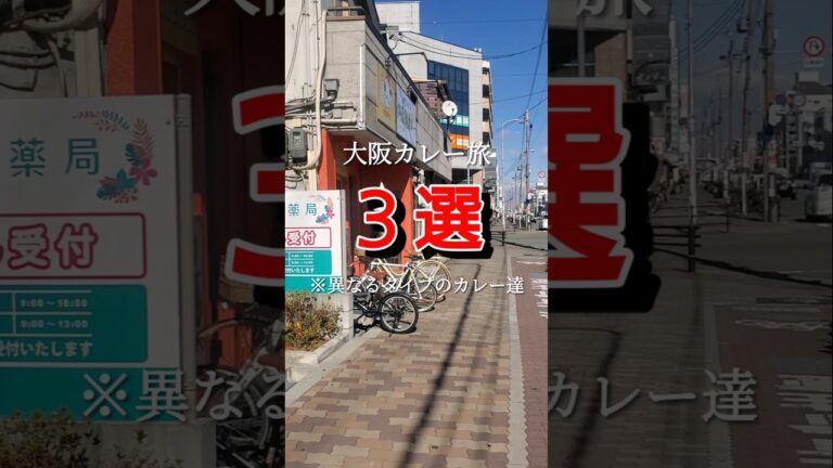 【大阪食べ歩き　カレー異種格闘技編】韓国風からスパイス、王道まで#大阪グルメ#大阪ランチ#大阪ディナー#カレーライス #大阪美食