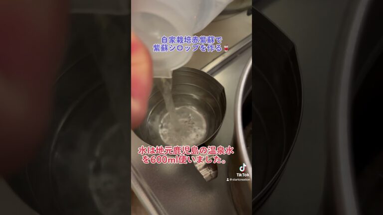 50秒で紹介！自家栽培の赤紫蘇で、紫蘇シロップを作る(夏休みスタッフブログ)