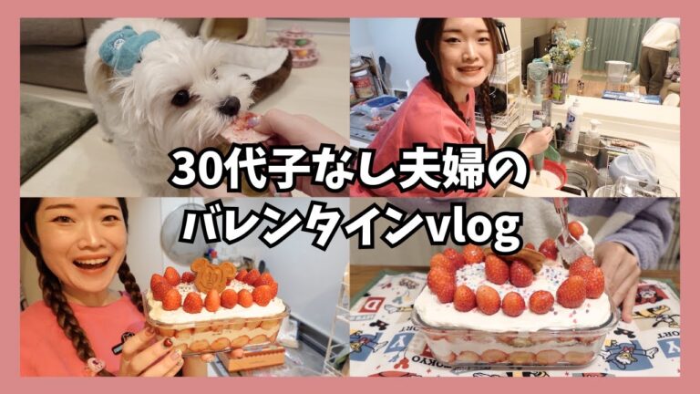 【夫婦vlog】30代子なし主婦の手作りバレンタイン【スコップケーキ】