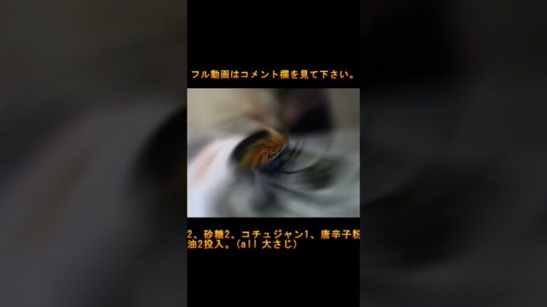 ひき肉と野菜入りのコチュジャン炒め
