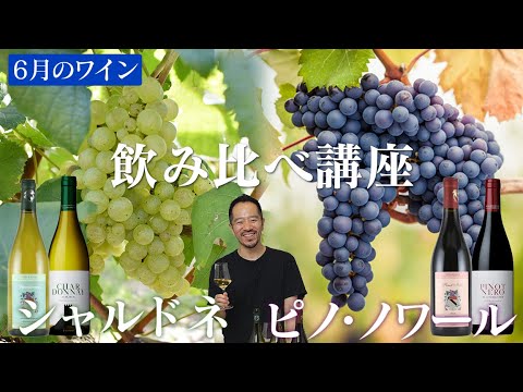 【6月のワイン】同じ品種だけど場所と作り手が違うとどれだけ変わる？シャルドネとピノ・ノワール２本ずつ飲み比べ【 料理レシピ 】