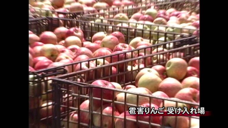 わがまち自慢の逸品（りんごのコンポート）