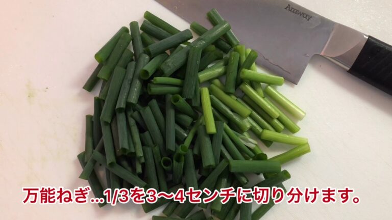 1品.com  鶏ささみとねぎのコチジャン和え♪