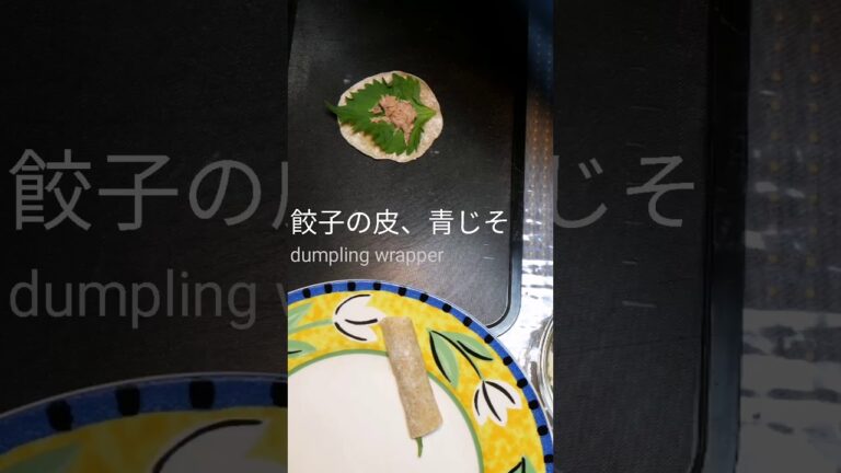 バズり飯 🌸 餃子の皮に豚肉としそを巻くだけ dumpling wrapper recipe with beefsteak plant #Shorts