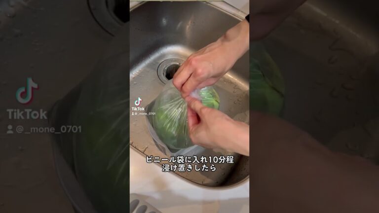 10万回再生⁉️1番簡単にブロッコリーの汚れ取る方法 #ショート #shorts #ライフハック #lifehacks #簡単レシピ