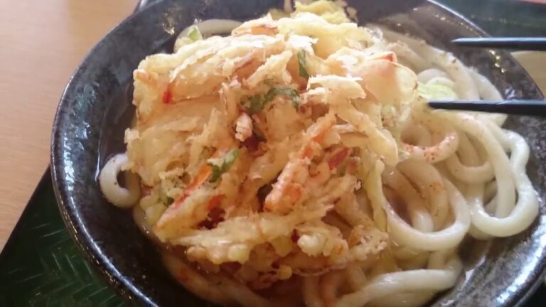 はなまるうどん　かき揚げ天+かけうどん（中）