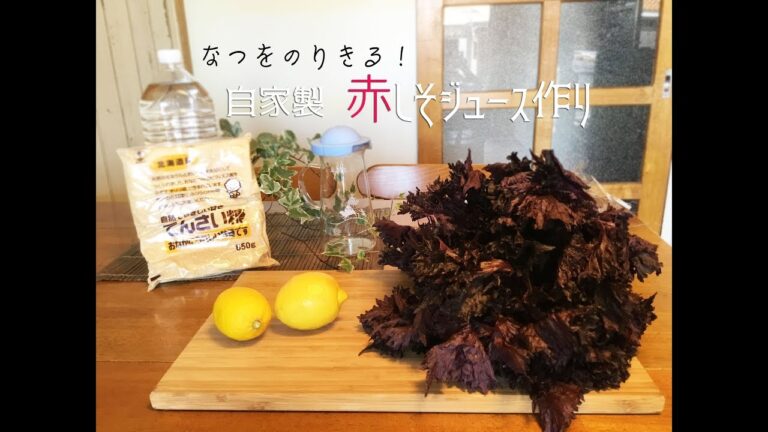 夏をのりきる！〜自家製赤しそジュース作り〜