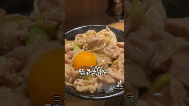 【激ウマ】【伝説のすた丼】
