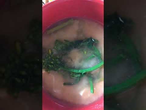 島田さんの味噌味のアヒージョと菜の花のおひたし鮭のおにぎり、梅干しとしそ昆布のおにぎり、菜の花と豆腐の味噌汁