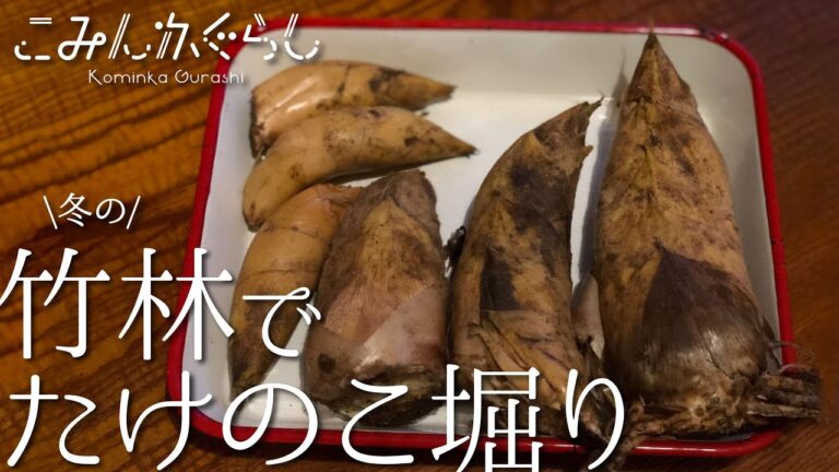 【冬の竹林】たけのこ掘って天ぷらに【筍天ぷら】
