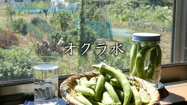 【オクラ水の作り方】 オクラ水の効果 ネバネバで夏バテ防止 　[How to make okra water]