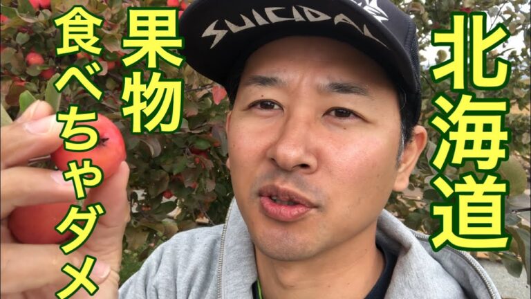 【北海道】生の姫リンゴ食べてみた！