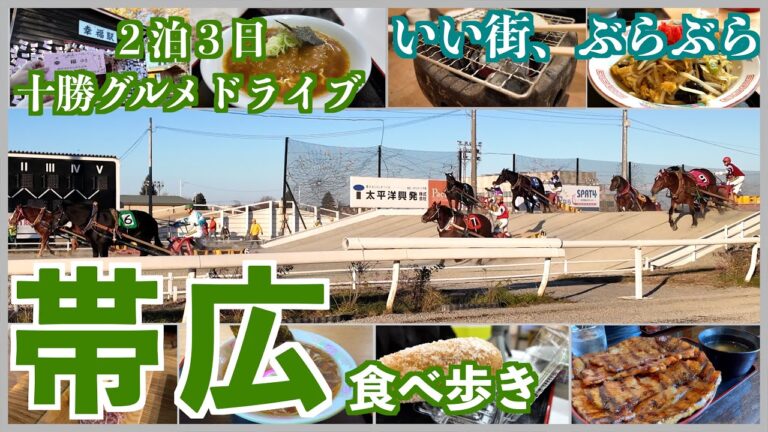 【十勝・帯広の旅】十勝の中心都市帯広の名物グルメ/豚丼・中華チラシ/懐かしの幸福と愛国の両駅と地元密着お菓子屋さん　#帯広