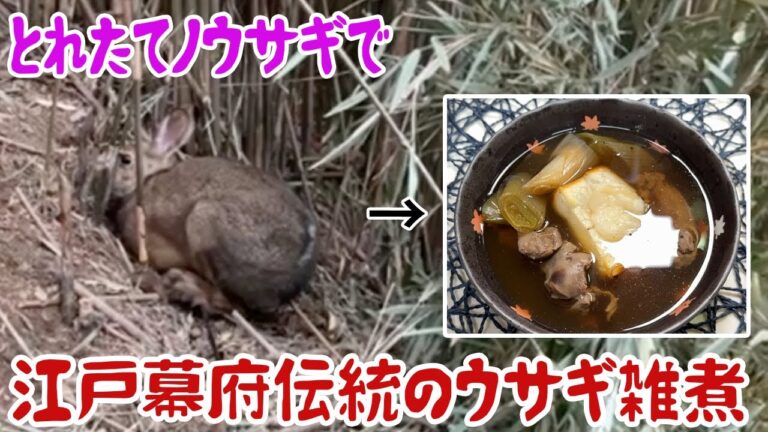とれたてノウサギで江戸幕府伝統のウサギ雑煮