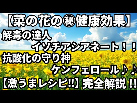 【衝撃】菜の花の隠されたパワー！食べなきゃ損する㊙健康効果と激うまレシピ