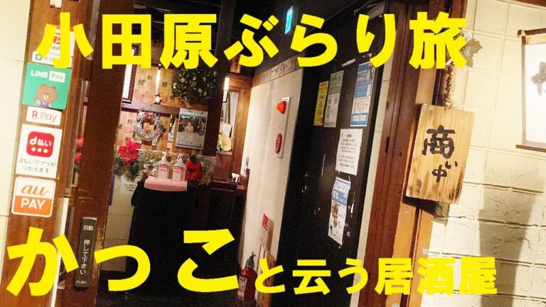 【かっこ】【鳥貴族】小田原ぶらり旅★焼鳥20本以上生中11杯でべろり！
