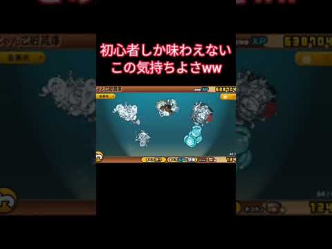 初心者にしか味わえない最高に気持ちいい瞬間【にゃんこ大戦争】
